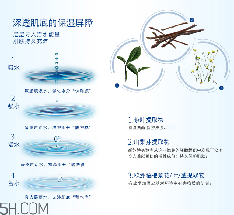 娇韵诗恒润奇肌保湿乳霜