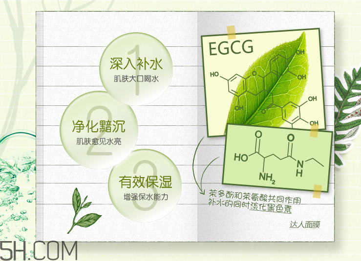 韩后达人京都玉露补水面膜