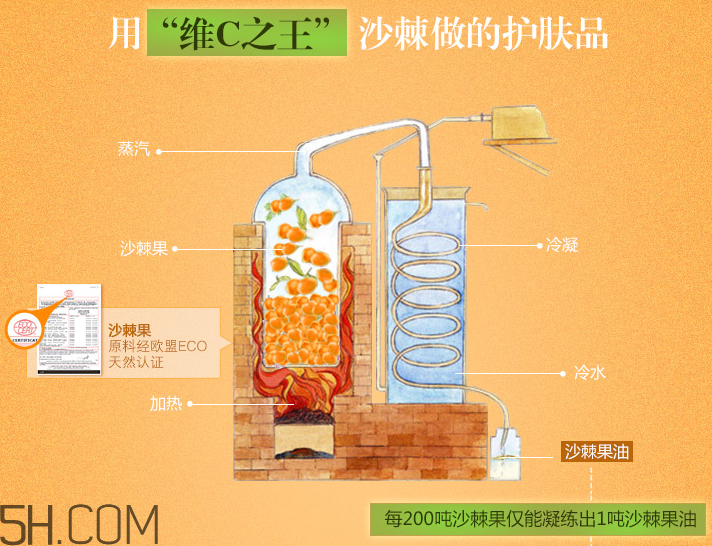 法兰琳卡透亮保湿面贴膜