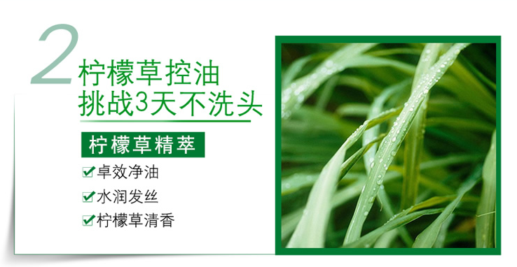 欧莱雅茶树植萃去屑净油洗发露