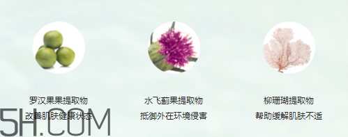 玫琳凯高水份面膜霜