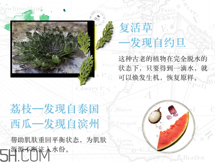 悦木之源复活草水润修护精华水